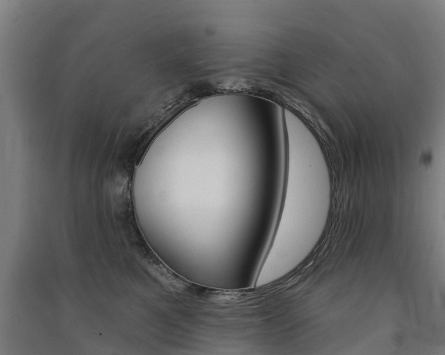 X0000091580521200708201016