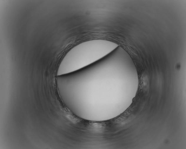 X0000091580522200708201016