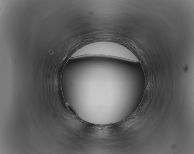 X0000091580524200708201016