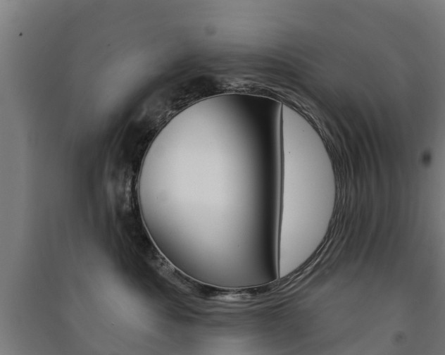 X0000091580525200708201016