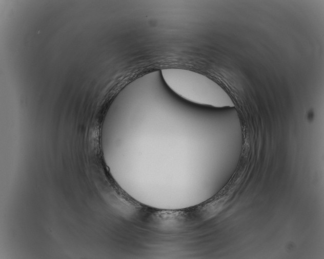 X0000091580526200708201016
