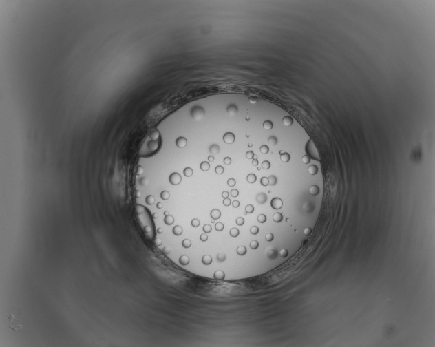 X0000091580527200708201016