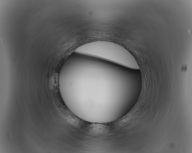X0000091580528200708201016