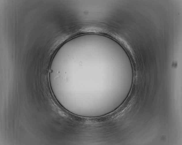 X0000091580529200708201015