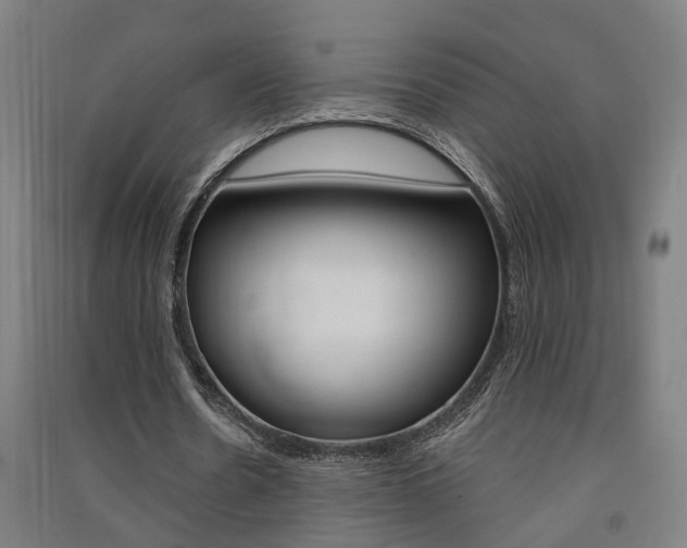 X0000091580530200708201015