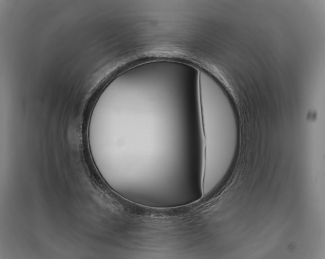 X0000091580531200708201015