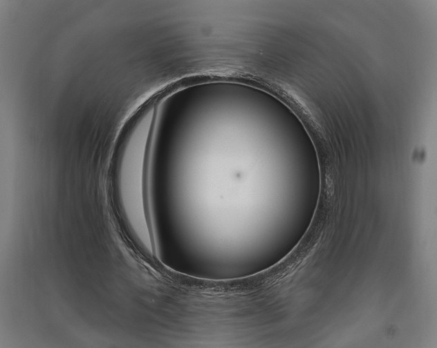 X0000091580532200708201016