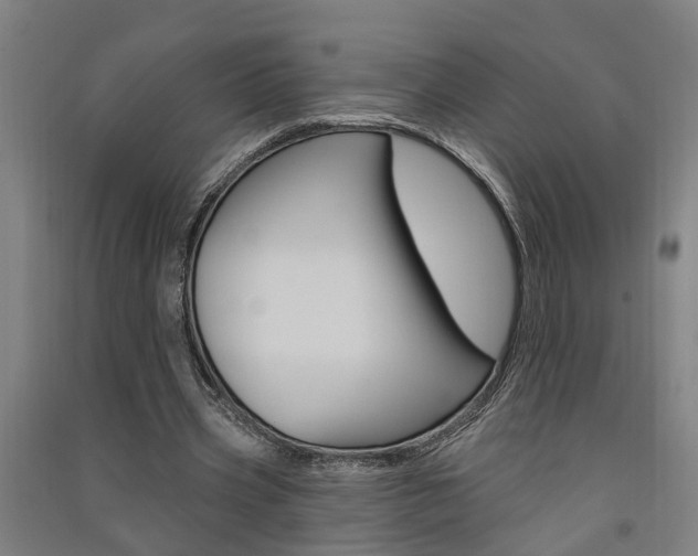 X0000091580533200708201016