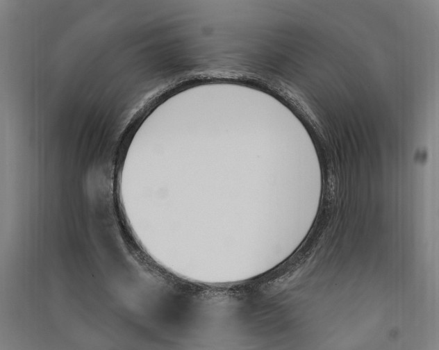 X0000091580534200708201016