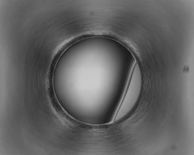 X0000091580536200708201016