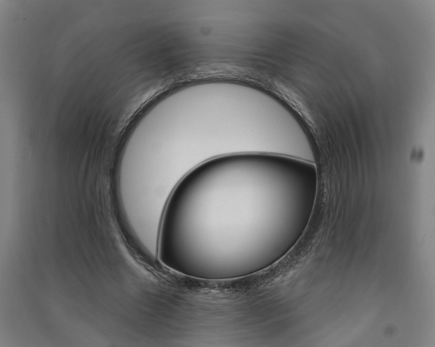 X0000091580538200708201016
