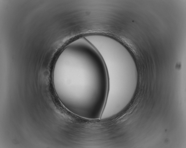 X0000091580540200708201016