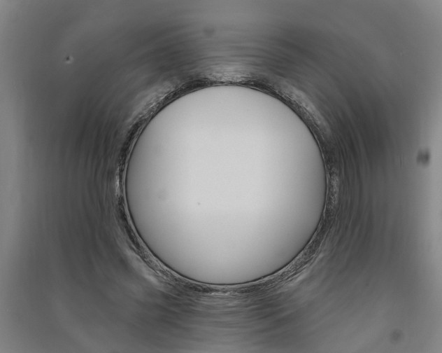 X0000091580541200708201016