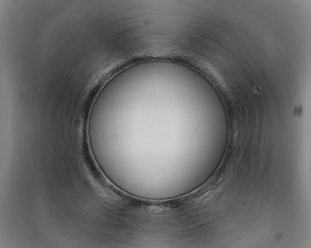 X0000091580542200708201016