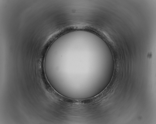 X0000091580543200708201016