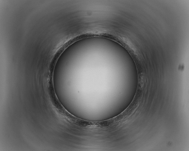 X0000091580544200708201016