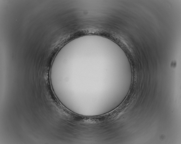 X0000091580545200708201016