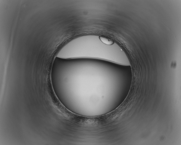 X0000091580546200708201016
