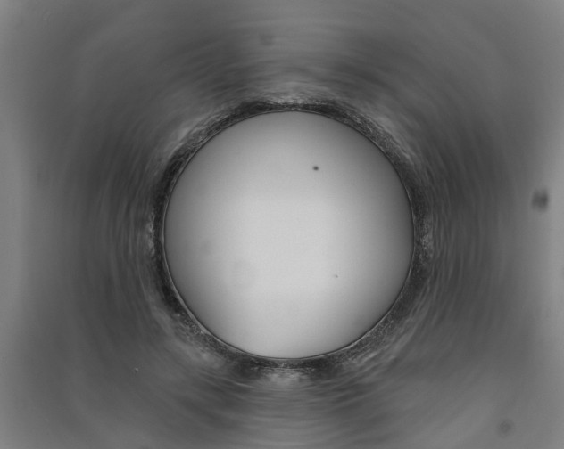 X0000091580547200708201016