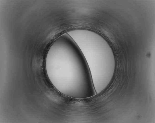 X0000091580548200708201016