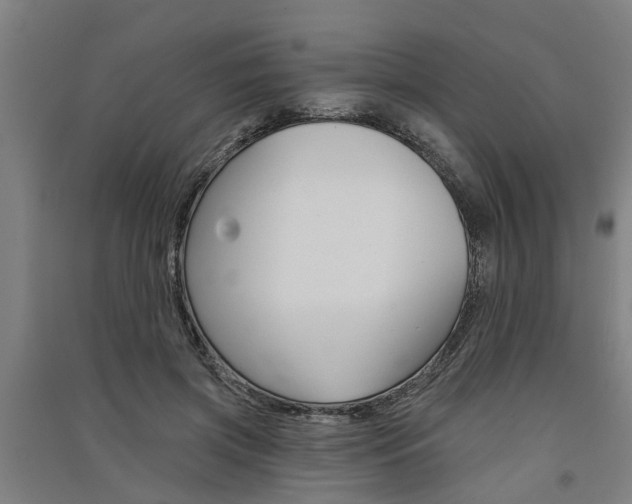 X0000091580549200708201016