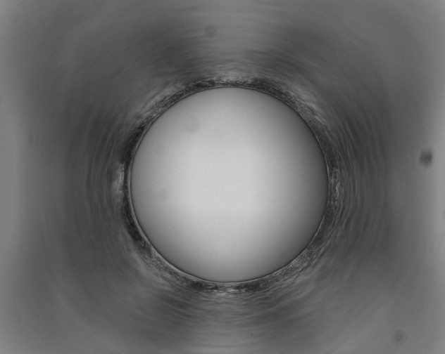 X0000091580550200708201016