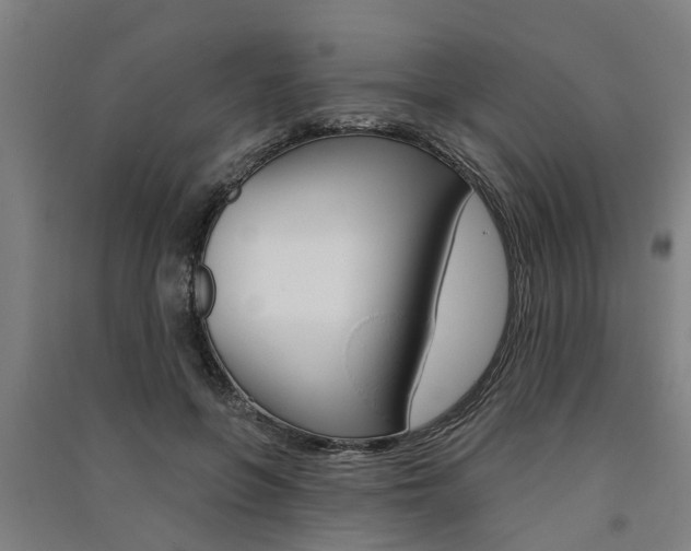 X0000091580551200708201016