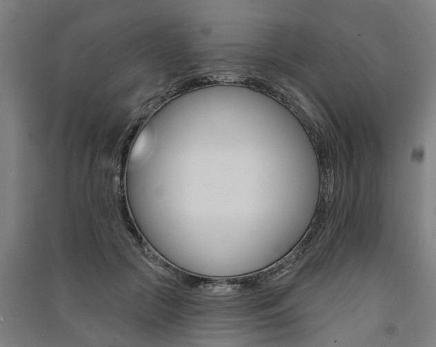 X0000091580553200708201016