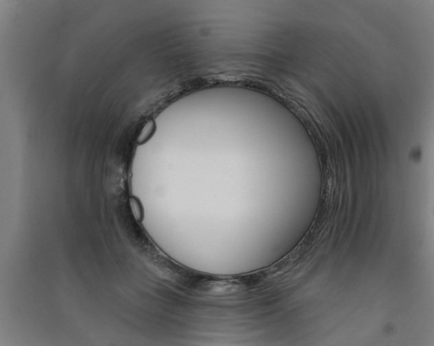 X0000091580555200708201016