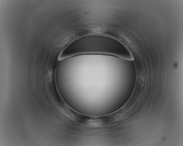 X0000091580556200708201016