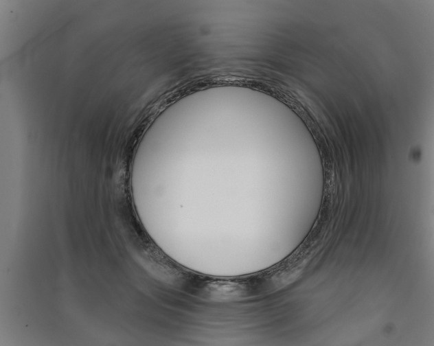 X0000091580557200708201016