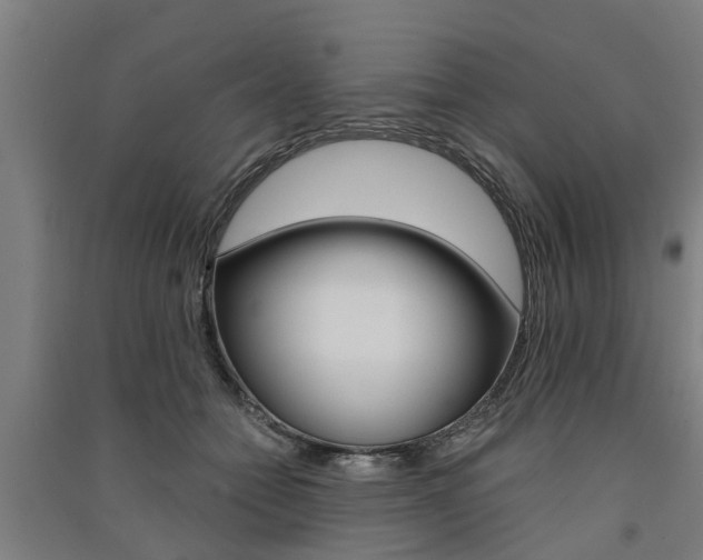 X0000091580558200708201016