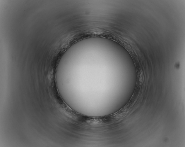 X0000091580559200708201016