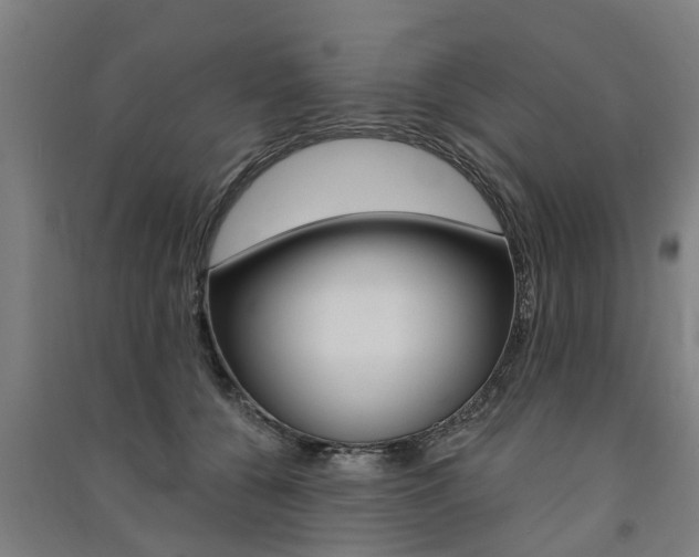 X0000091580560200708201016