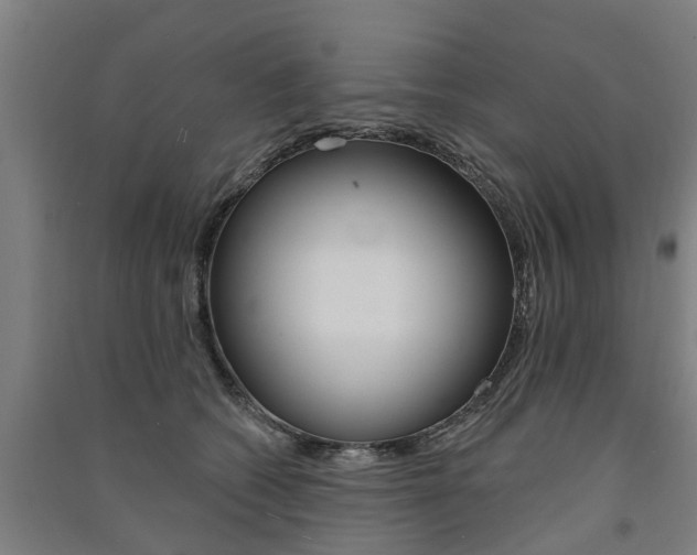 X0000091580562200708201016