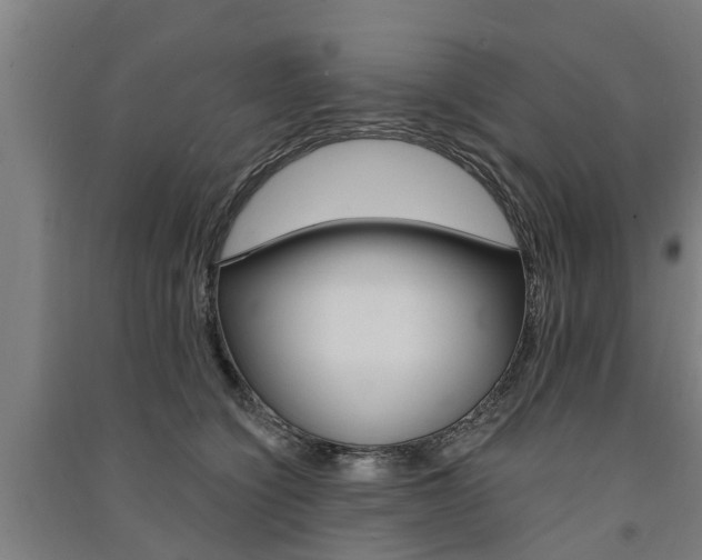 X0000091580564200708201016