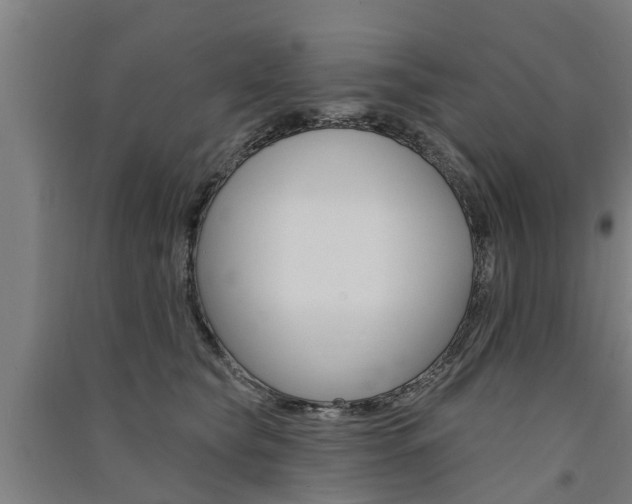 X0000091580565200708201016