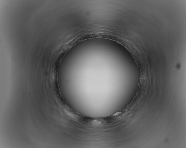 X0000091580566200708201016