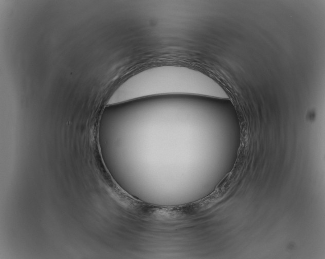 X0000091580568200708201016