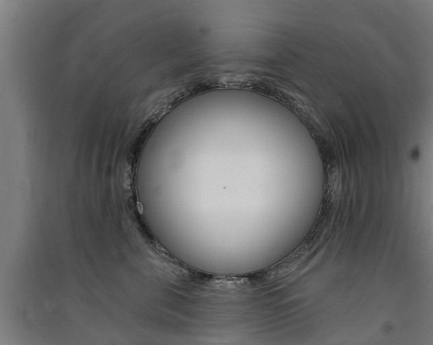 X0000091580571200708201016