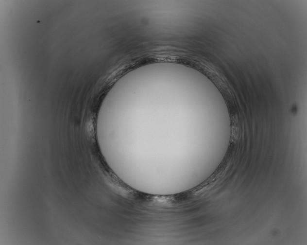 X0000091580573200708201016