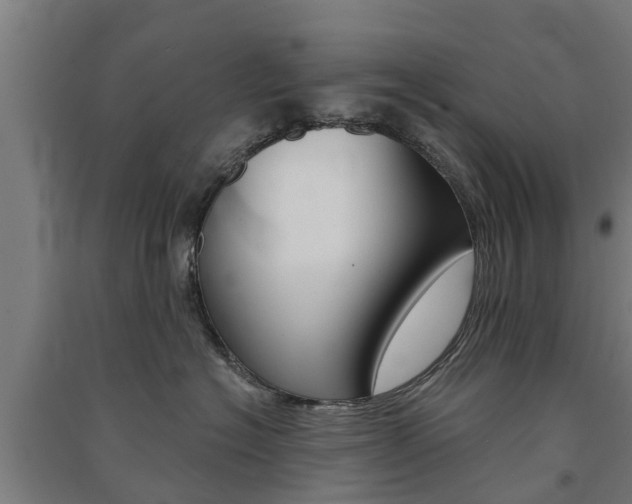 X0000091580574200708201016