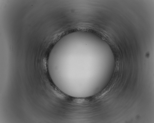 X0000091580575200708201016
