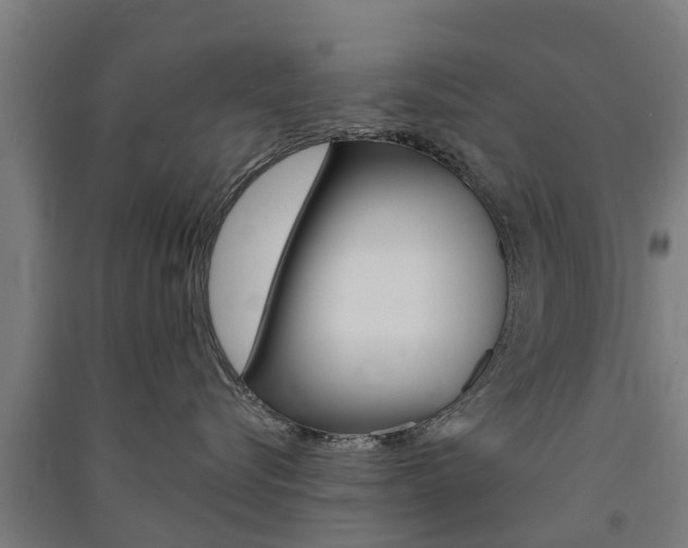 X0000091580576200708201016