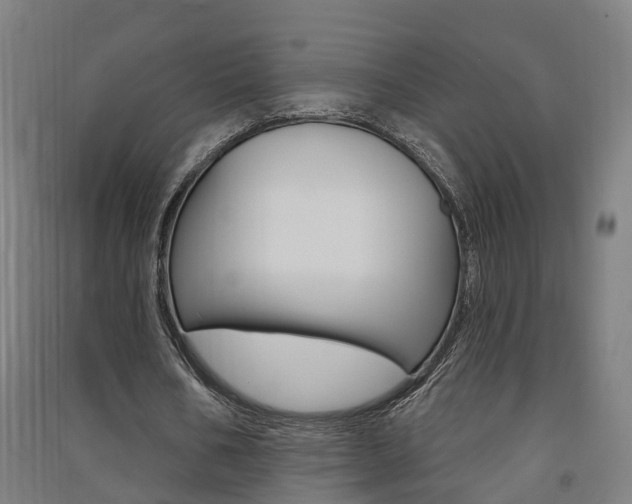 X0000091580578200708201015