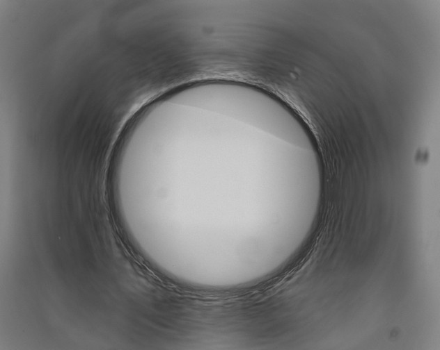 X0000091580579200708201015