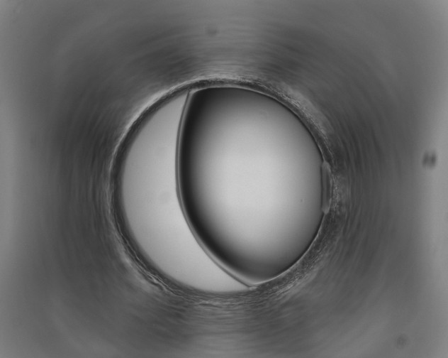 X0000091580580200708201015
