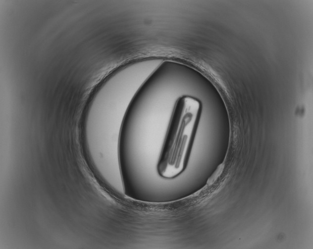 X0000091580581200708201015