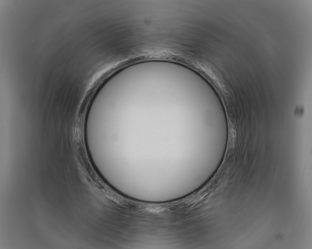 X0000091580583200708201015
