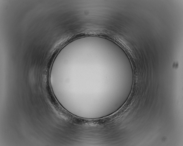 X0000091580586200708201015